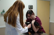 Dog and Cat Vaccinations Pasadena, TX: Veterinarian and Technician Examining Pet
