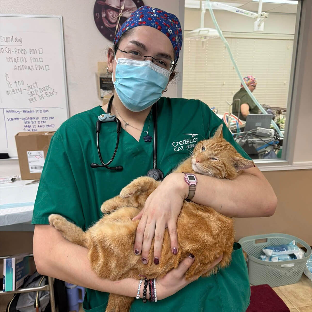 vet in teal scrubs holding orange cat